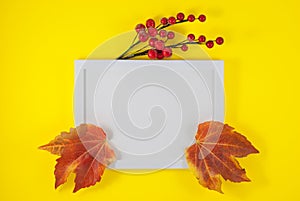 Autumn composition. Photo frame, leaves on yellow background. Autumn, fall, Flat lay, top view, copy space