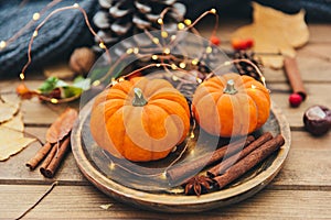 Autumn composition. Pumpkin and cinnamon photo