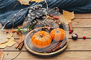 Autumn composition. Pumpkin and cinnamon photo