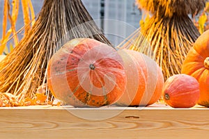 Autumn composition of pumpkins