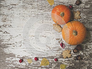 Autumn composition. Pumpkins, dried leaves, cookies, chestnuts, hawthorn and barberry fruits on a white vintage