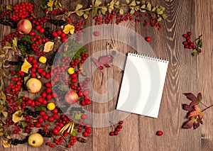 Red berries of hawthorn, barberry, mountain ash, yellow apples, notepad on a wooden background.