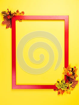 Autumn composition with red frame and fall leaves
