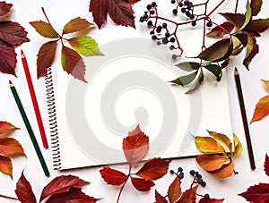 Autumn composition with sketchbook and pencils, decorated with red leaves and berries. Flat lay, top view