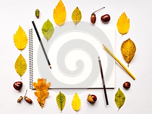 Autumn composition with sketchbook and pencils, decorated with yellow and green leaves. Flat lay, top view