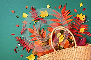 Autumn composition. Straw bag with autumn dried leaves on green background. Flat lay. Top view. Copy space. Fall season