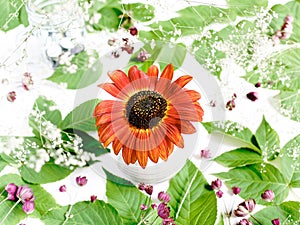 Autumn composition. Sunflower in a vase and branches with green leaves. The background is decorated with white dried flowers