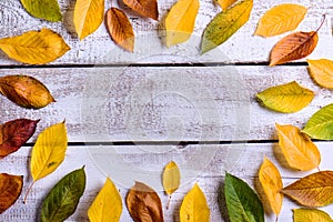 Autumn composition. Various colorful leaves. Studio shot, wooden