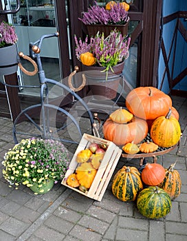 Autumn composition with vegetables and flowers near the store