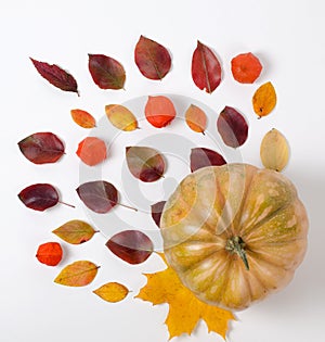 Autumn Composition of vibrant red and yellow leaves and orange pumpkin on a white background. Flat lay Top view