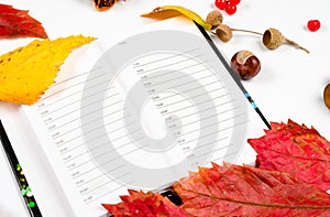 Autumn composition on white background .