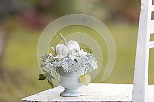 Autumn composition with a white pumpkin in a vase on a white chair. Close-up on natural outdoor background