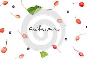 Autumn composition with wild apples and blueberries with handwritten inscription `autumn` on white background. Flat