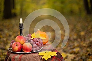 Autumn concept with fruit and candle on yellow leaves background