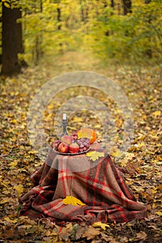 Autumn concept with fruit and candle on yellow leaves background