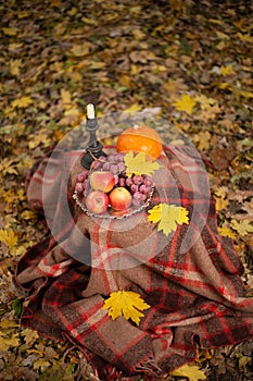 Autumn concept with fruit and candle on yellow leaves background