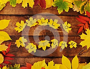 Autumn concept - inscription Hello autumn on yellow maple leaves on a wooden background.