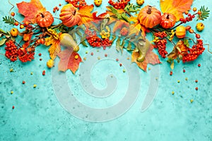 Autumn concept with pumpkins, flowers, autumn leaves and rowan berries on a turquoise background. Festive autumn decor, flat lay