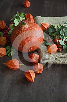 Autumn concept with seasonal fruits and vegetables. Pumpkin, figs, autumn leaves. Thanksgiving Day. Halloween