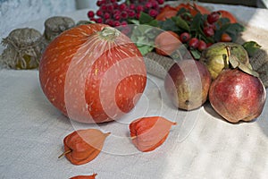 Autumn concept with seasonal fruits and vegetables. Pumpkin, figs, autumn leaves. Thanksgiving Day. Halloween