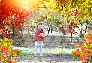 Autumn concept. Sunny day in the park. Indian summer in October. A little girl in a bright red coat and gray knitted skirt plays