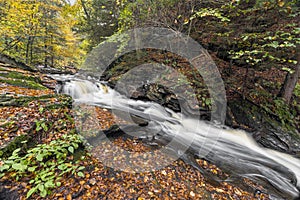 Autumn at Conestoga Falls