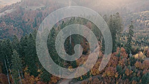 Autumn coniferous and deciduous forest in the mountains. Drone view.