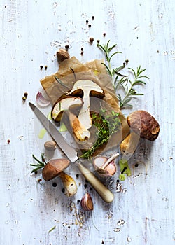 Autumn cooking background; organic porcini Mushroom; seasoning photo