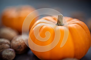 Autumn corner border banner of pumpkins and fall decor on a rustic wood background with copy space