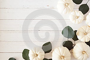 Autumn corner border of white pumpkins and green eucalyptus leaves against a white wood background