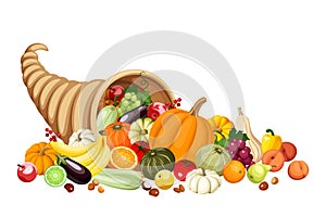 Autumn cornucopia (horn of plenty) with fruits and