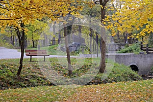 Autumn in the Country