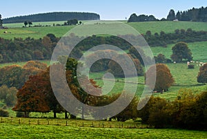 Autumn country landscape