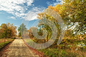 autumn country landscape with dirt road