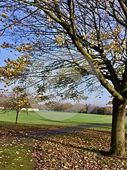 Autumn in the country Park