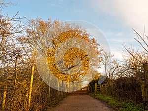 Autumn country path lane rambling outside nature way direction p