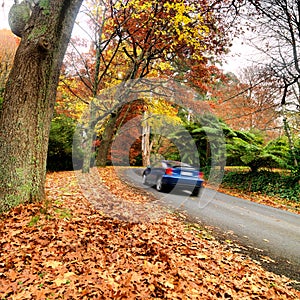 Autumn on the country road