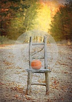 Autumn Country Road with Pumpkin on Rustic Chair.