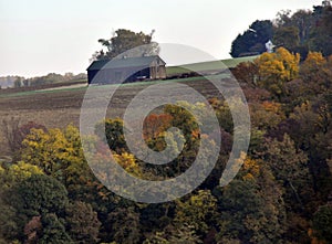 Autumn in the country with a variety of different color leaves