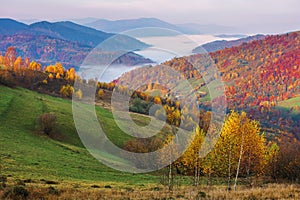 Autumn countryside at foggy dawn