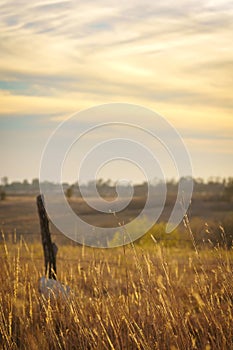 Autumn countryside in Kansas