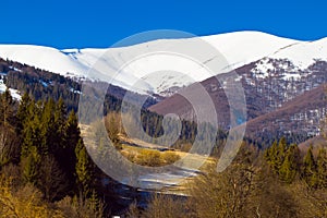 Autumn countryside landscape of mountain valley covered with coniferous and deciduous forest, Carpathian MountainsÐ± Transcarpatha