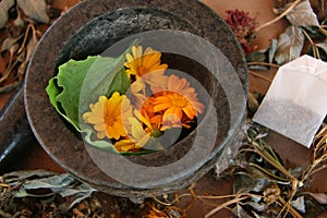 October Healing Plants Herbalism, Tea Bag Naturopathy, Flowers Herbs, Dried Flowers, Medicinal, Holistic Still Life, Floral photo