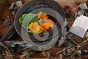 Mortar Pestle Healing Plants Herbalism, Tea Bag Naturopathy, Flowers Herbs, Dried Flowers, Medicinal, Holistic Still Life, Floral photo