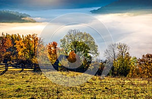 Autumn countryside with valley full of thick fog