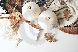 Autumn cozy composition. Blank card mockup scene. White pumpkins, dry oak leaves, Christmas lights and wool plaid on