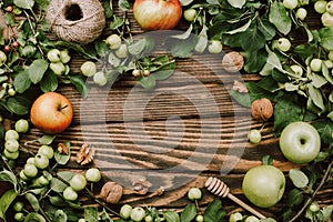 Autumn cozy flatlay frame arrangement with apple tree branches, ripe fruits, spoon, walnuts and twine on wooden