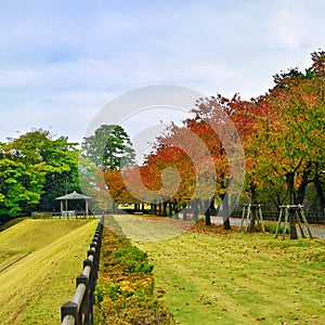 Autumn cplors park land with wooden hut