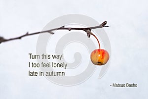 Autumn Crab Apple Haiku
