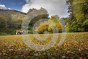 Autumn at Craig-y-Nos Country park